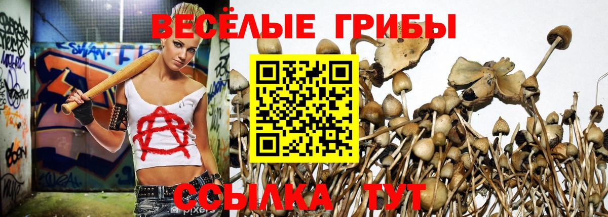 Десногорск  Псилоцибиновые грибы MAGIC MUSHROOMS  Галлюциногенные грибы Magic Shrooms  Вход с VPN 